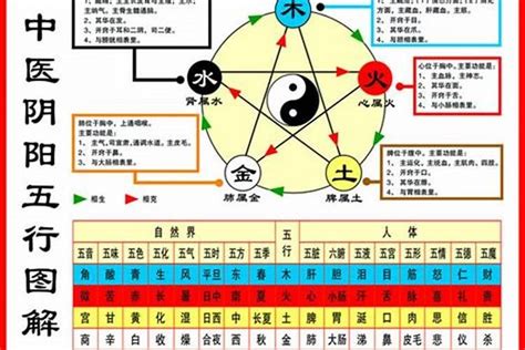 五行如何算